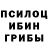 Галлюциногенные грибы прущие грибы Paul Tutarkov