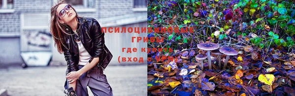 прущая мука Абинск